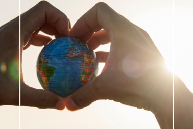 Udział w badaniu dotyczącym cudzoziemców