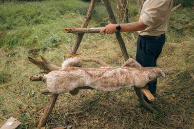 Drugie nocowanie z #ForestBuddy: wczesnojesienna przygoda pod gwieździstym niebem