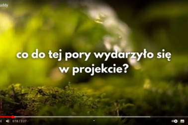 Zajrzyjcie do naszego świata przygód!